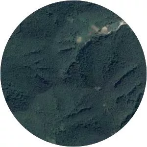 Asiana Airlines Flight 733 - Airline crash