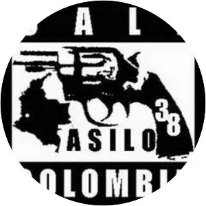 Asilo 38 - Musical artist