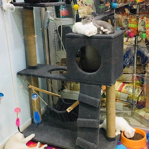 Aslan Kral Petshop - Pet store in Istanbul