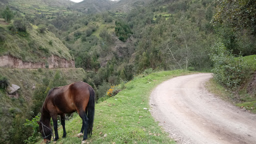 ASNAQPAMPA - Historical landmark in Peru