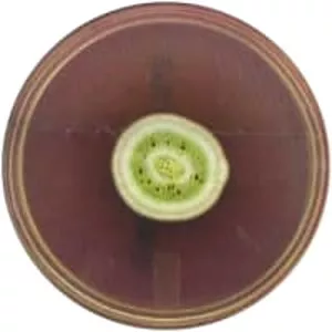 Aspergillus versicolor