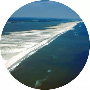Assateague Island - Island in the Atlantic Ocean