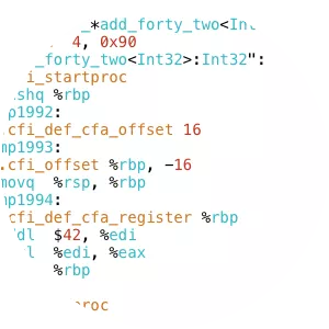 Assembly language photograph