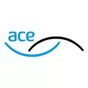 Association for Consultancy and Engineering (. . .