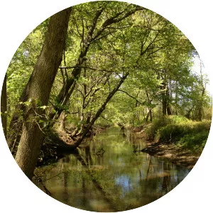 Assunpink Creek - Tributary in New Jersey