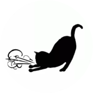 Asthmatic Kitty Records