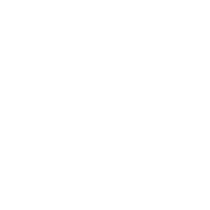 Aston Martin - Car manufacturer