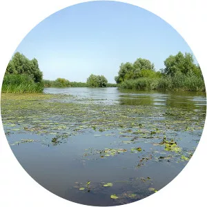 Astrakhan Nature Reserve