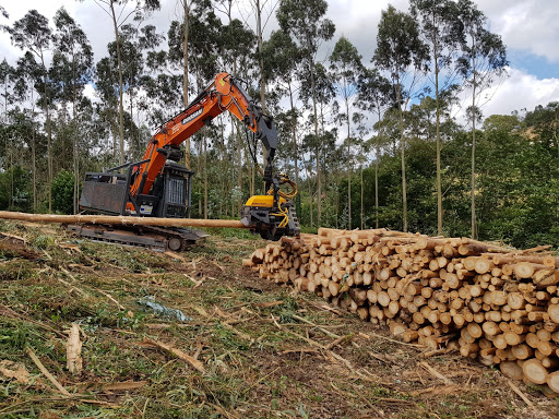 ASTURIANA DE MATERIALES ECOLOGICOS - ASERRADERO - 