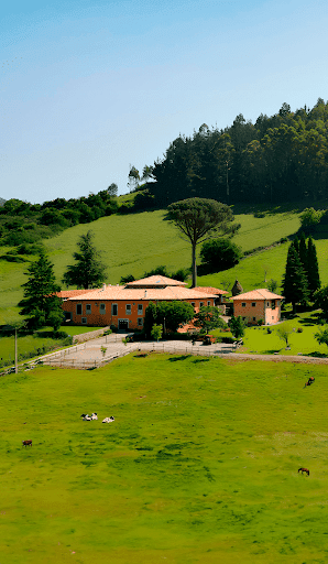 Asturvida | Centro de tratamiento de adicciones en Asturias