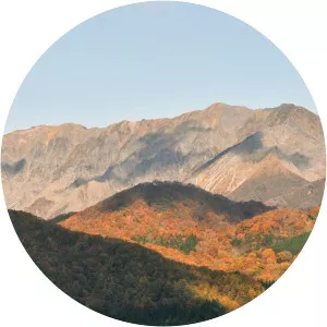 At One with NatureSince 2020