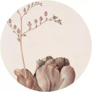 Atanasio Echeverría y Godoy