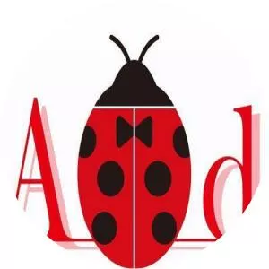 Atelierladybird - Musical group