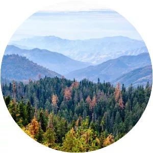 Atewa Range - Mountain range in Ghana