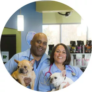 Atlanta VetsSince 2017