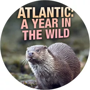 Atlantic: A Year In The WildSince 2020 - TV program