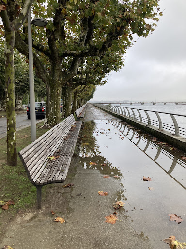 Atlantic Coastal Greenway/bike trail/Saint James Way