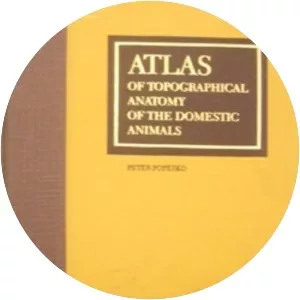 Atlas of Topographical Anatomy of the . . .