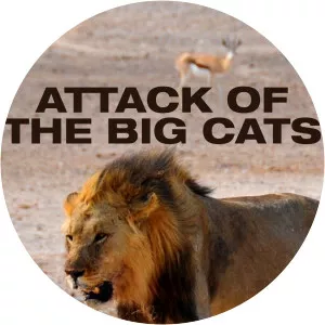 Attack of the Big CatsSince 2012