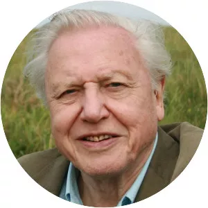 Attenborough: 60 Years in the Wild