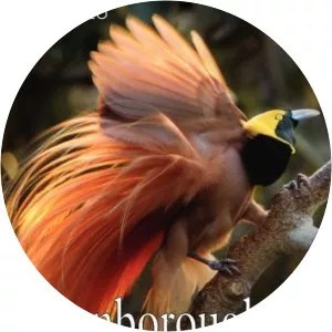 Attenborough in Paradise