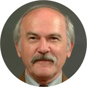 Attila Selmeczi Kovács Musician