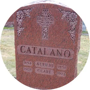 Attilio Catalano - Insurance broker