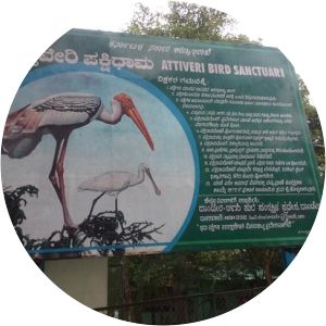 Attiveri Bird Sanctuary - 