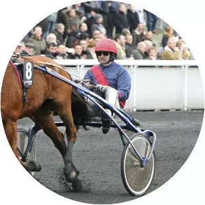 Aubrion du Gers - Horse