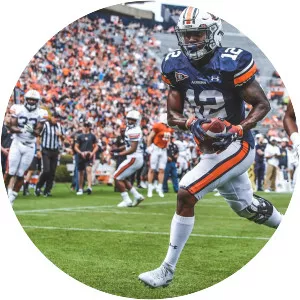 Auburn Tigers football