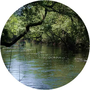 Aucilla River