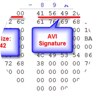 Audio Video Interleave