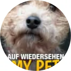 Auf Wiedersehen My Pet