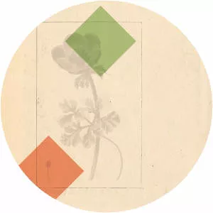 AUM Grand Ensemble - Musical group