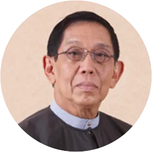 Aung Tun Thet - Economist