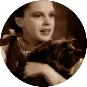 Aunt Em - Fictional character