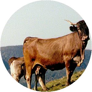 Aure et Saint-Girons (Aure-et-Saint-Girons)