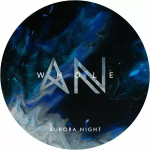 Aurora Night