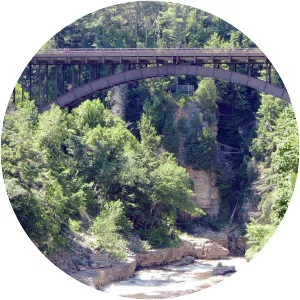 AuSable Chasm Bridge
