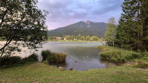 Aussichtssteg Wildsee