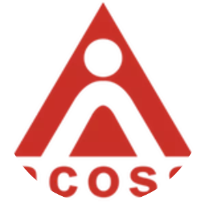 Australian Council of Social Service