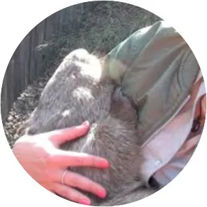 Australian Reptile Park