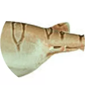 Australian reticulate swellshark