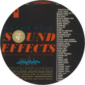 Authentic Sound Effects - Musical artist
