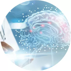 Automatic BrainSince 2011