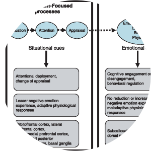 Automatic emotion regulation Iris B. Mauss - Book by Iris B. Mauss