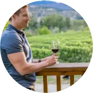 Autumn In The Vineyard