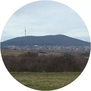 Avala