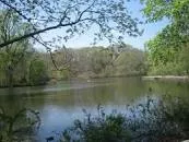 Avalon Park And Preserve - 