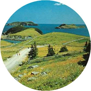 Avalon Peninsula - 